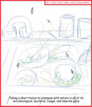 Remove R Comic (aka rm -r comic), by Gary Marks:2012 Hiatus 1 of 6 
Dialog: 
Mmmmm I think that oatmeal might still be good. 
 
Panel 1 
Caption: Taking a short hiatus to commune with nature in all of its microbiological, bacterial, fungal, and insectal glory